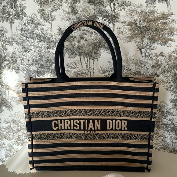 Christian Dior Medium Book Tote - BRAND NEW FALL 2024! - Picture 1 of 6